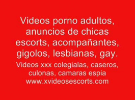 XXX ऑल वीडियो